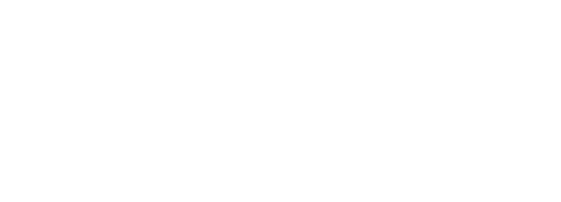 Ambassadors Meet